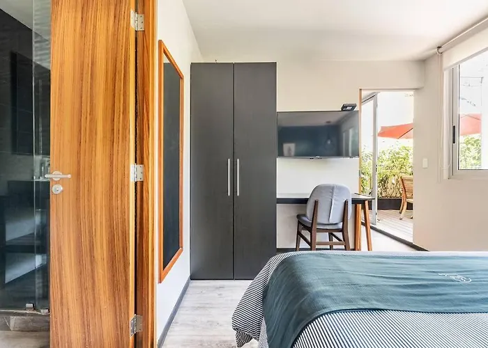 Apartamento Loft Con Terraza México DF